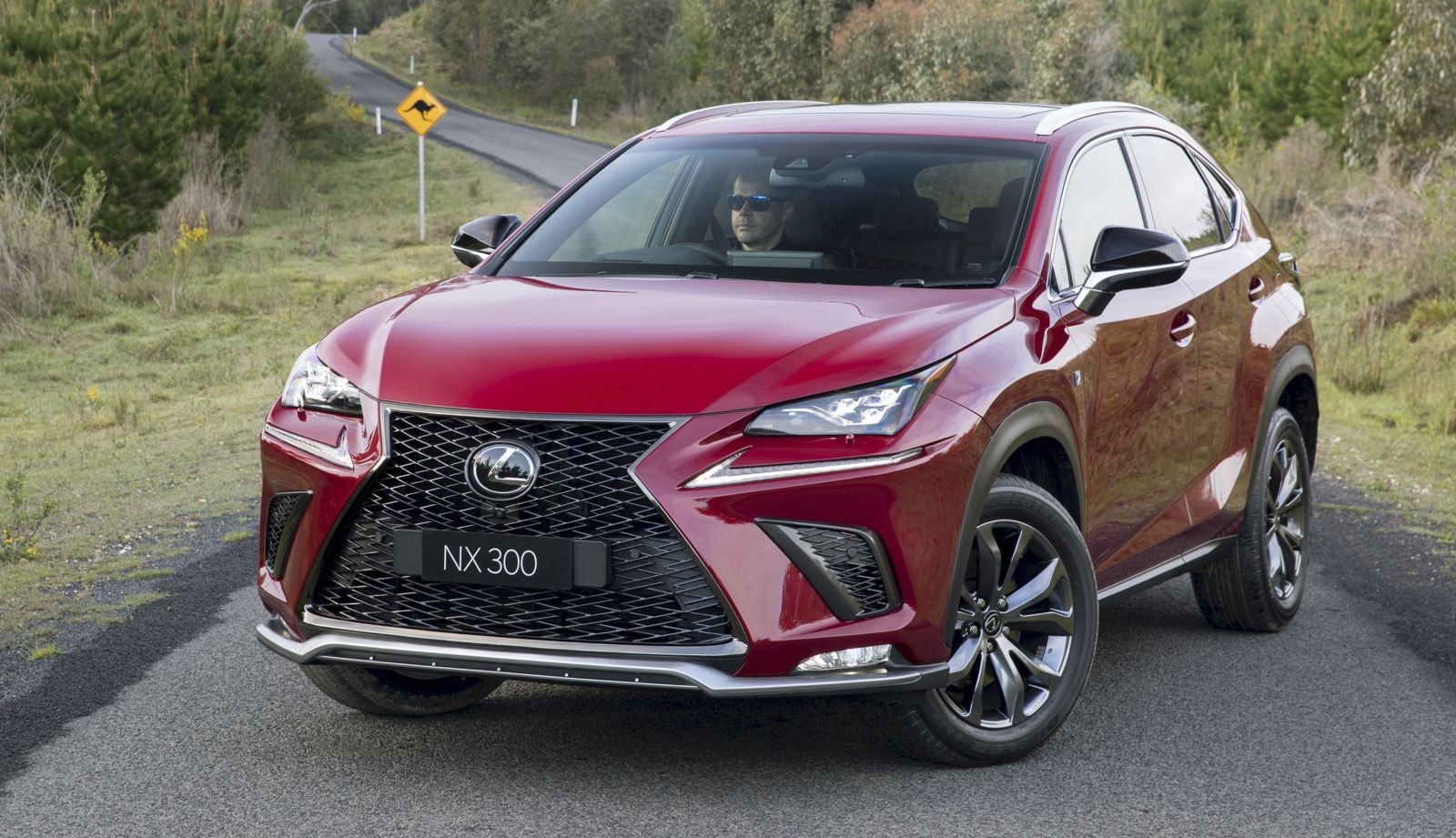 2020 Lexus NX Price And Specs | CarExpert