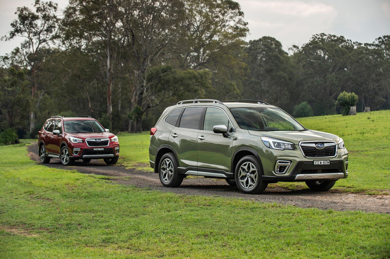 Subaru Seven Melbourne dealers move to nohaggle pricing CarExpert