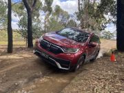 Suv Off Road Test Top 12 Medium Suvs Compared With Video Carexpert Suv Off Road Test Top 12 Medium Suvs Compared With Video Carexpert