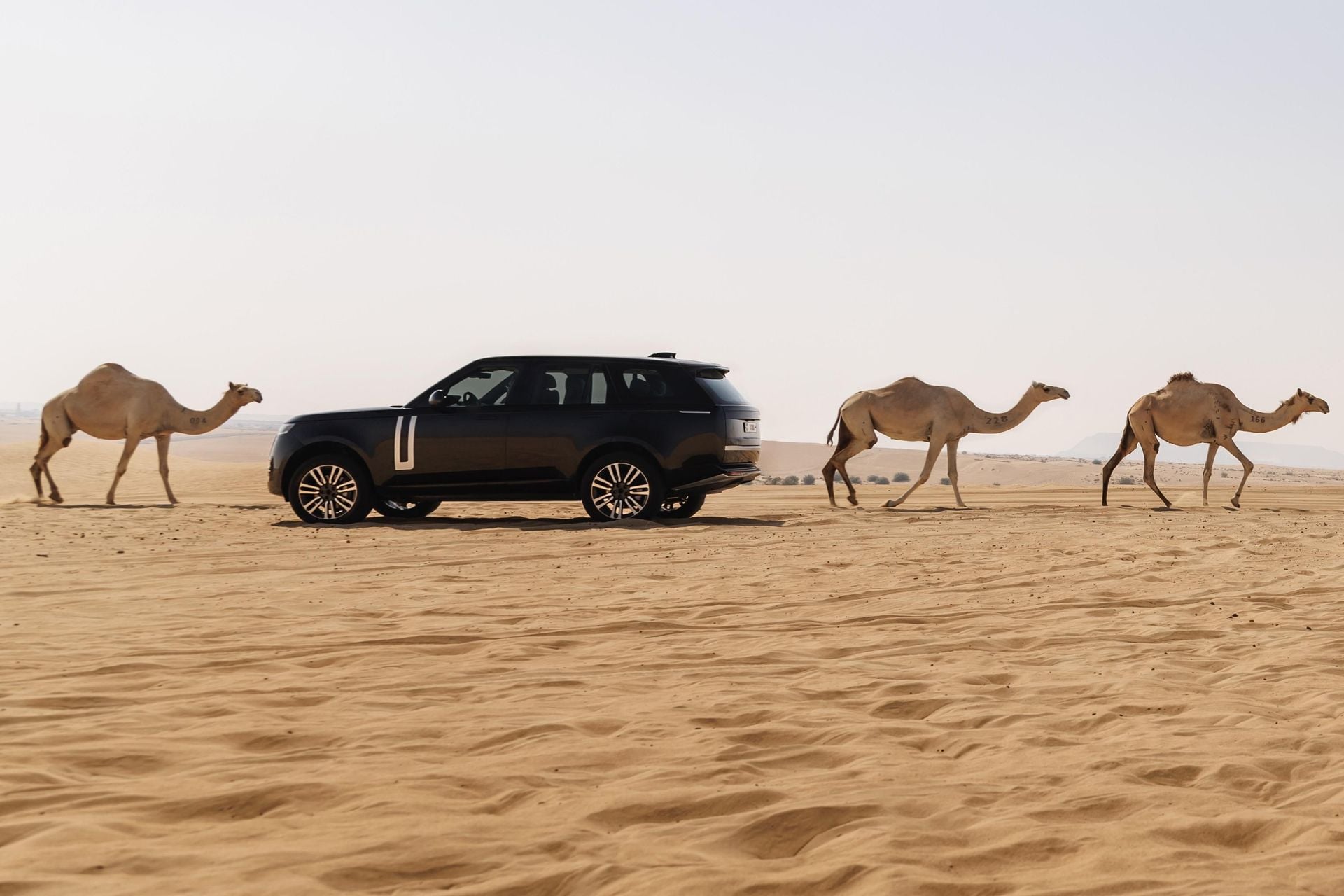 Range Rover Electric: Off-road-ready luxury EV undergoes desert testing ...