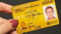 How much does it cost to get your driver's licence in Australia?