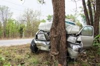 Pedestrian deaths are driving up the road toll