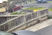 Watch the terrifying moment thieves in Victoria stole a car with toddlers in the back