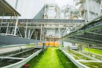 Mazda backs algae-based biofuels as path to carbon-negative motoring