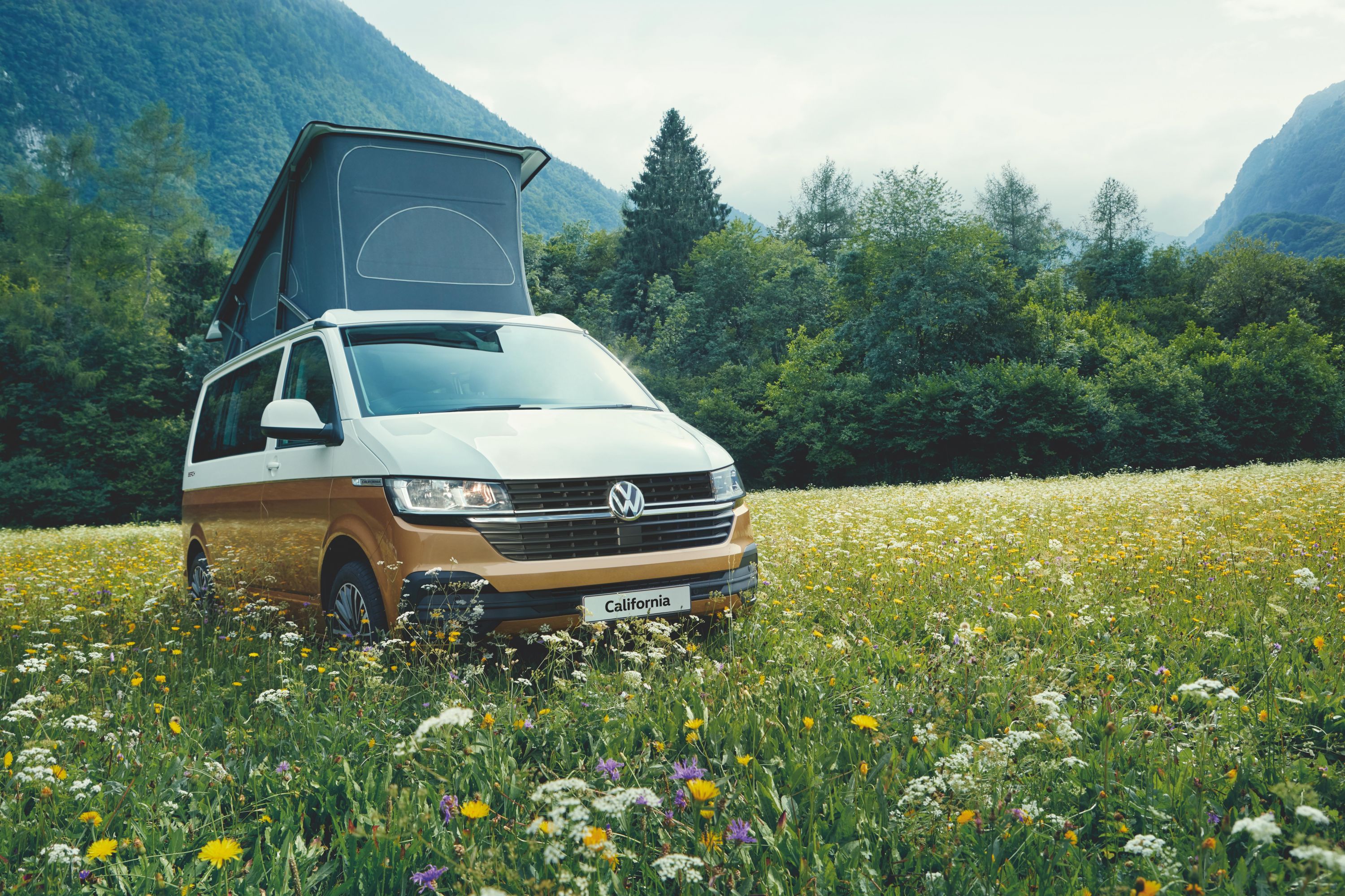 VW California Ocean Review - Still the best camper van you can buy