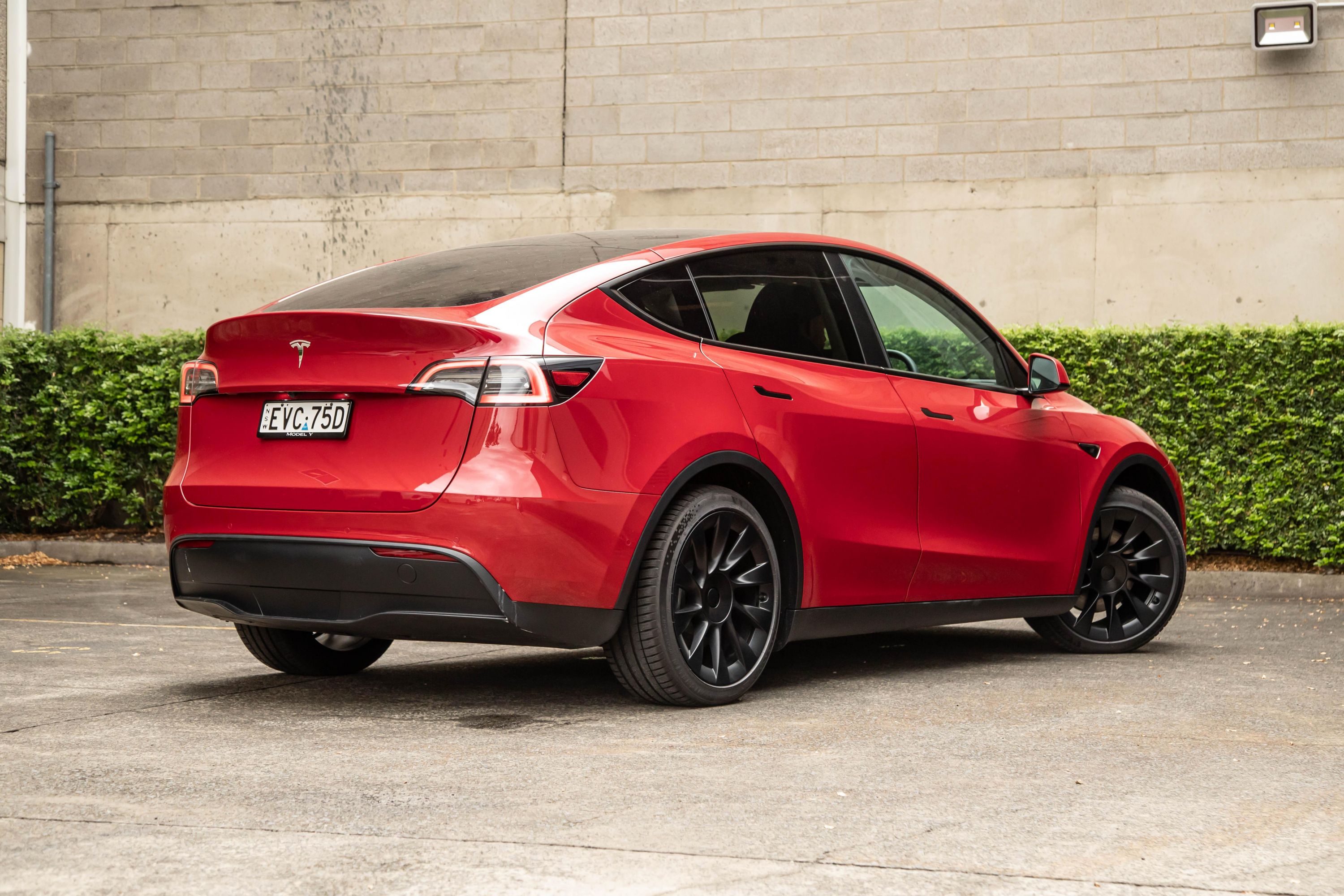 Delivery Time For Tesla Model Y Canada