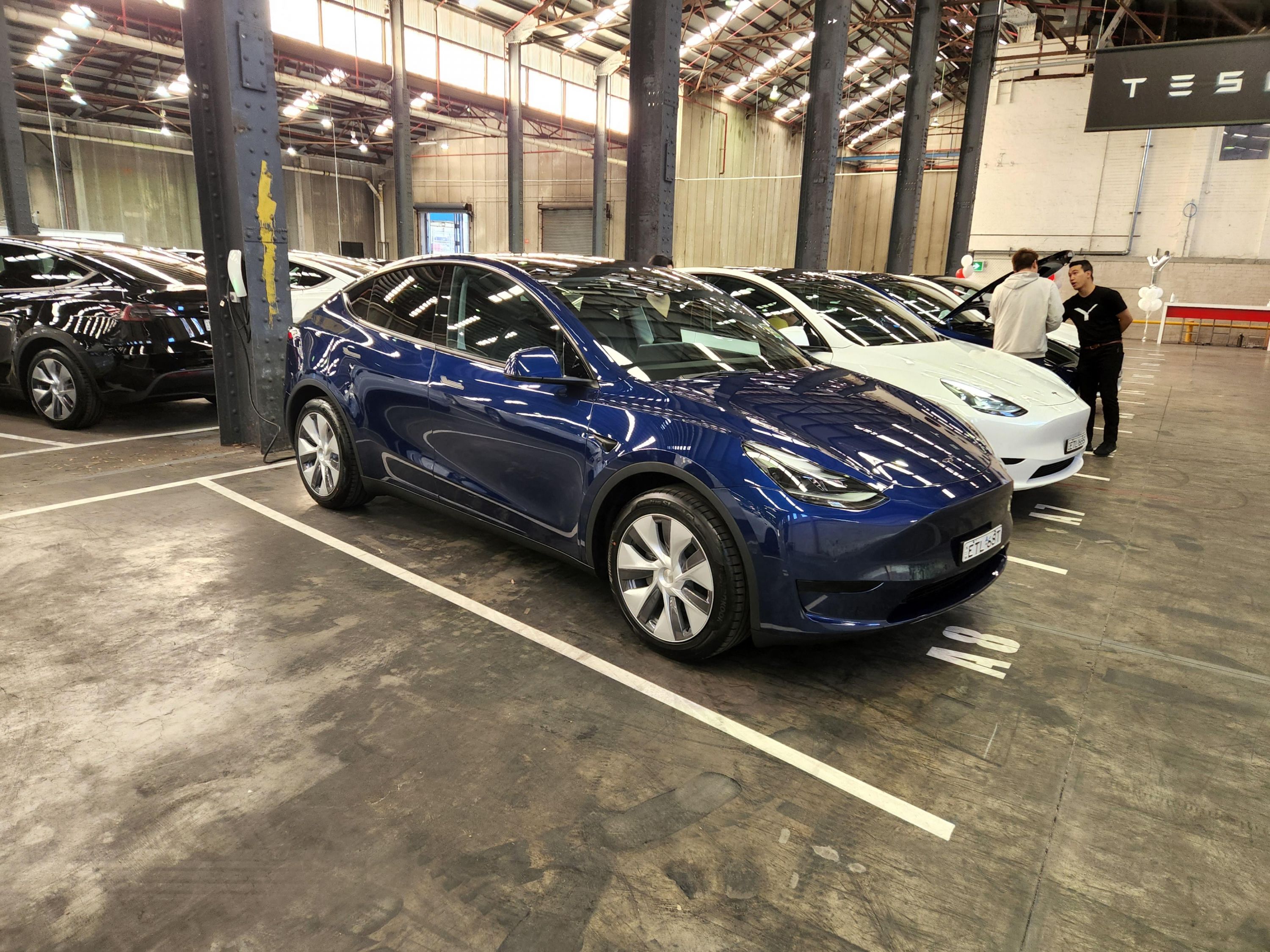 Diagnosing and Addressing Unwanted Sounds in the Tesla Model Y - A Guide for Drivers