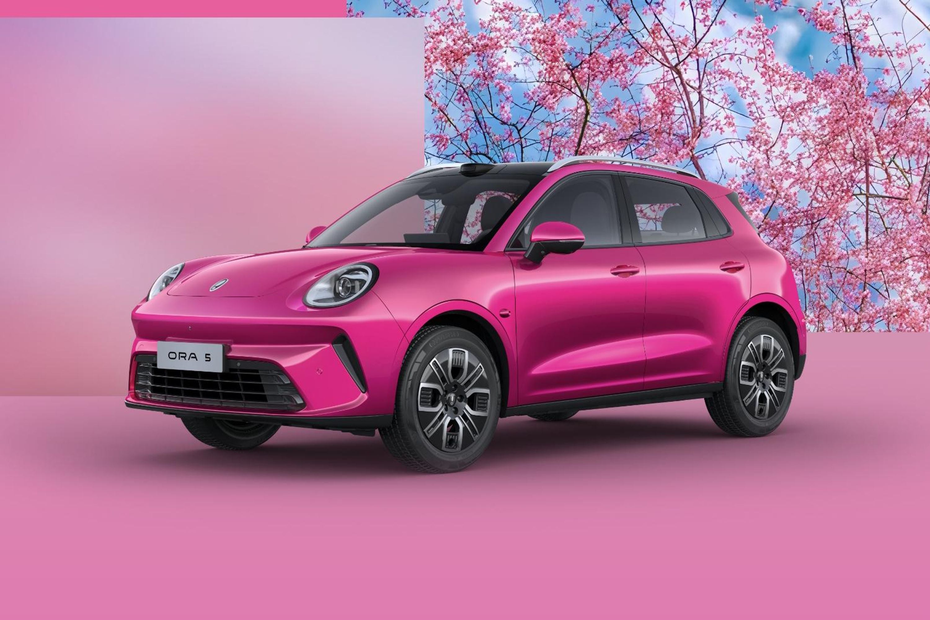 GWM ORA 5 vs BYD Yuan Pro: qual elétrico vale R$ 200 mil?