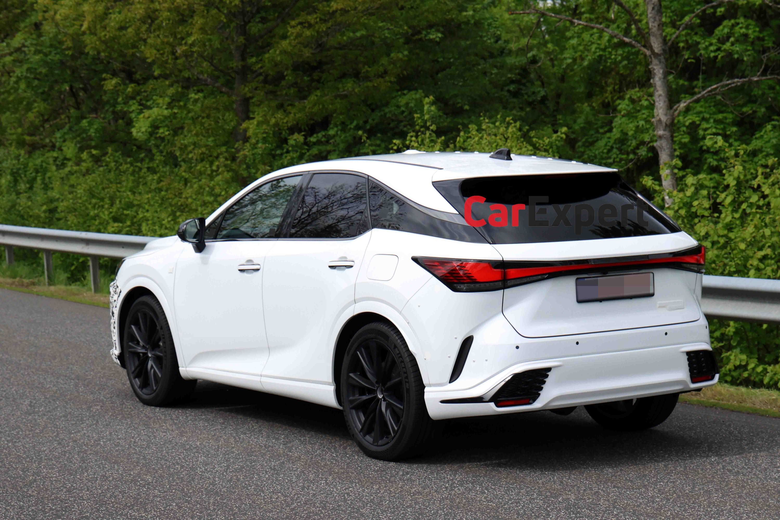 lexus-rx-spypix-spy-photos-10.jpg