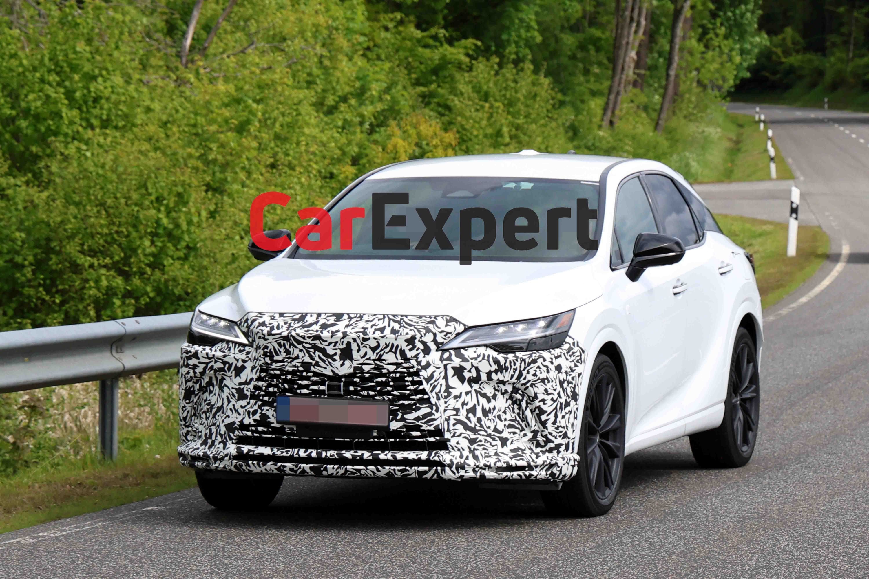 lexus-rx-spypix-spy-photos-4.jpg