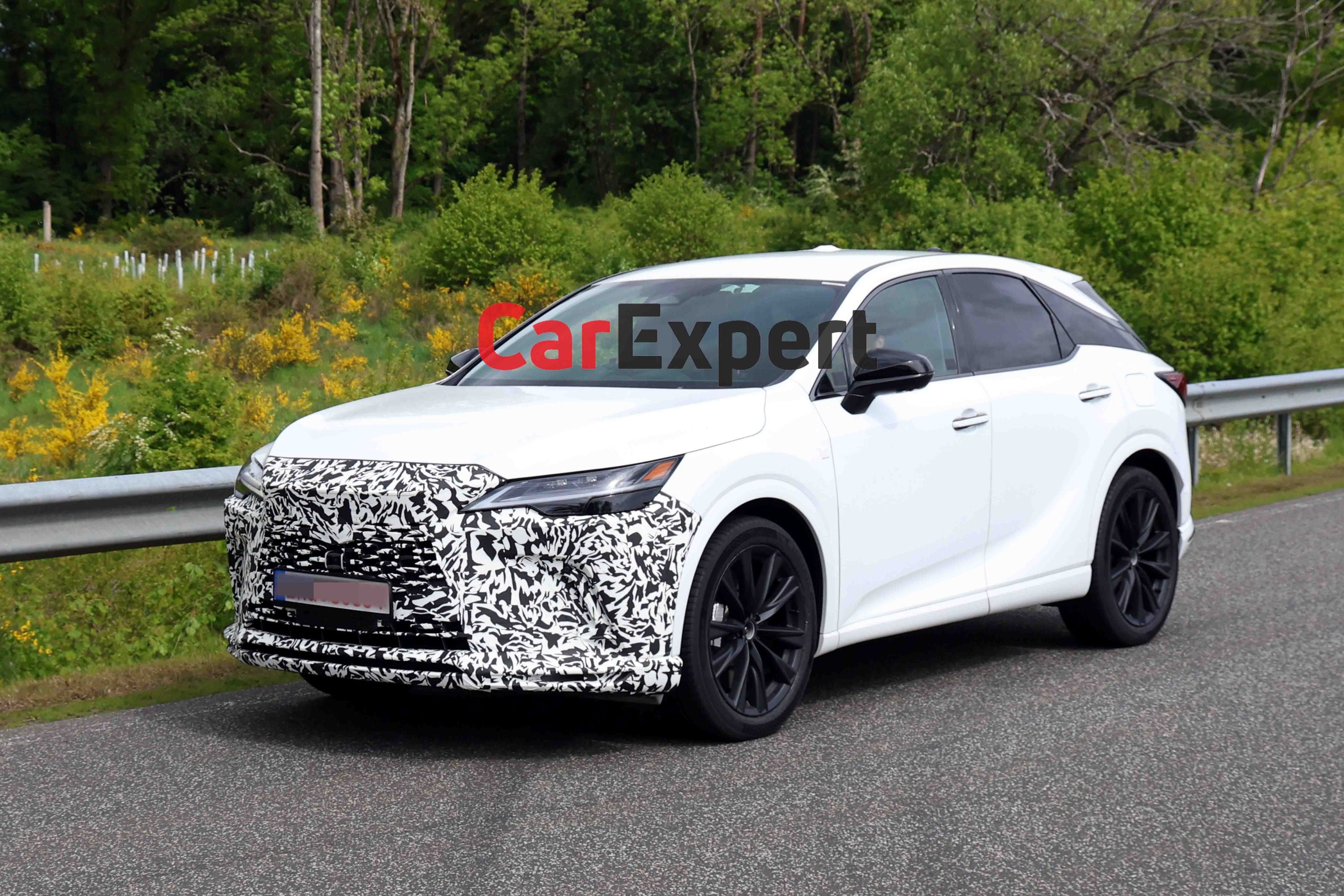 lexus-rx-spypix-spy-photos-6.jpg