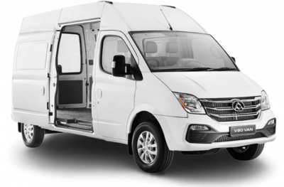 LDV V80