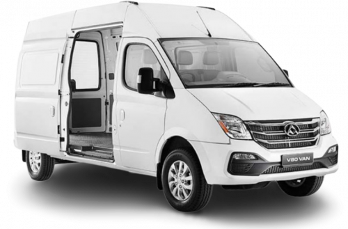 LDV V80