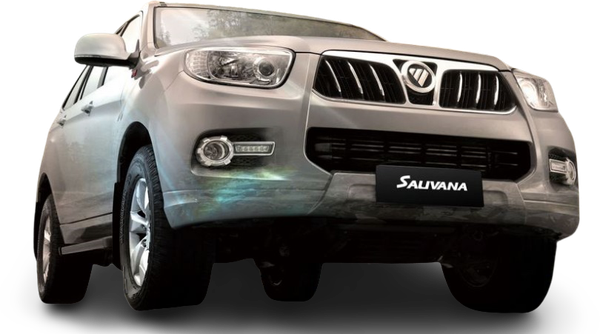 Foton Sauvana