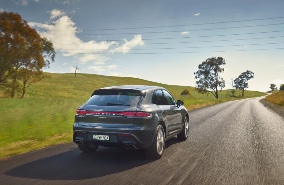 Macan
