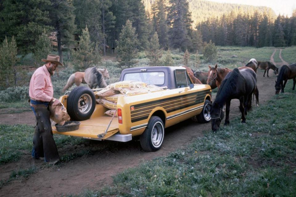1976 Scout II Terra