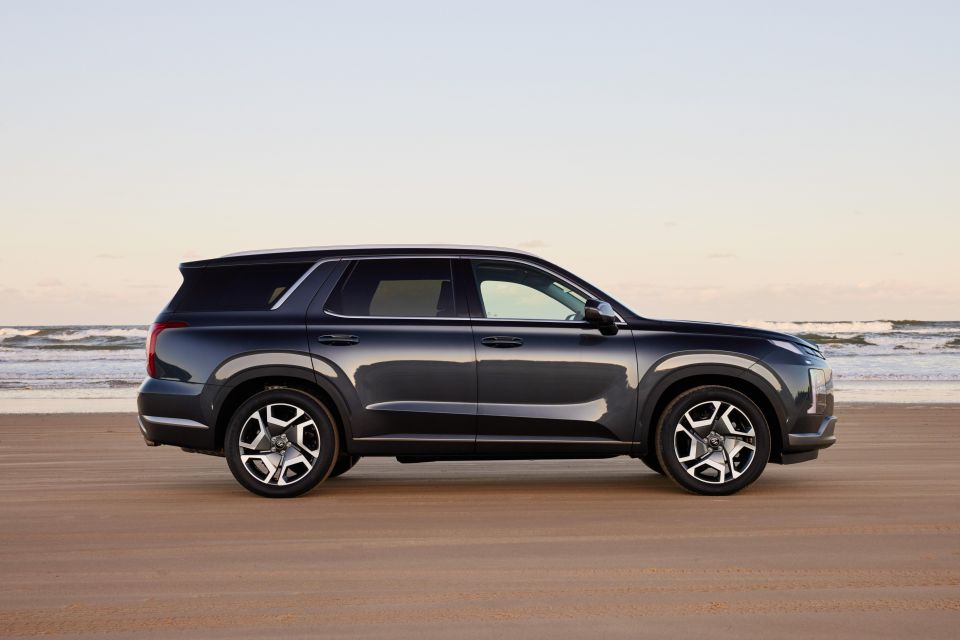 Palisade Elite