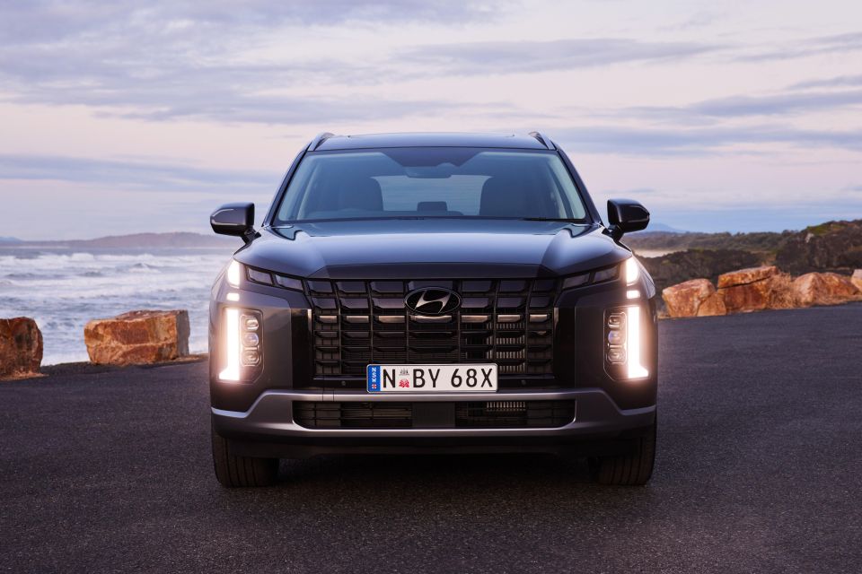 Palisade Elite