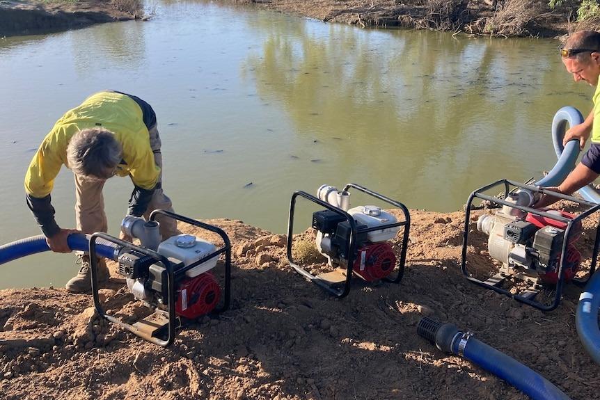 Image by Greg Stewart