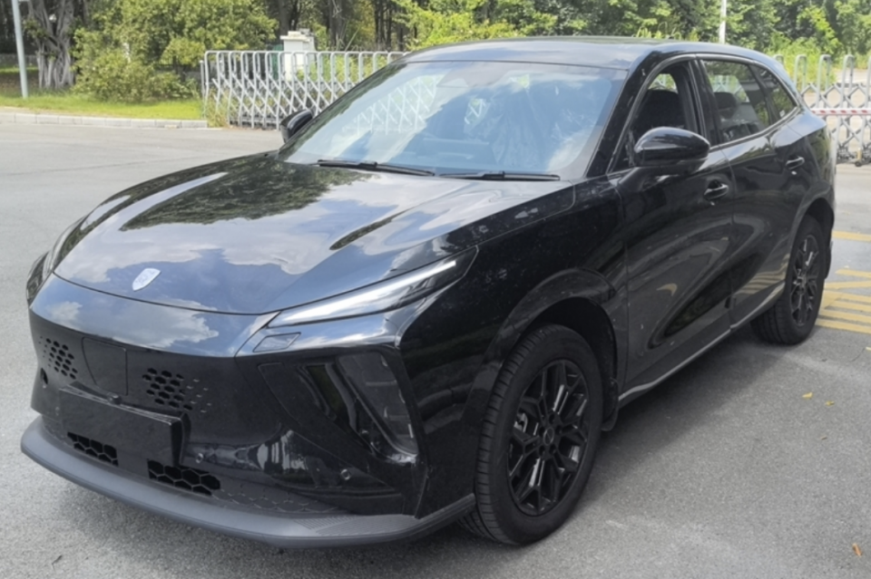 Friday REEV approval images