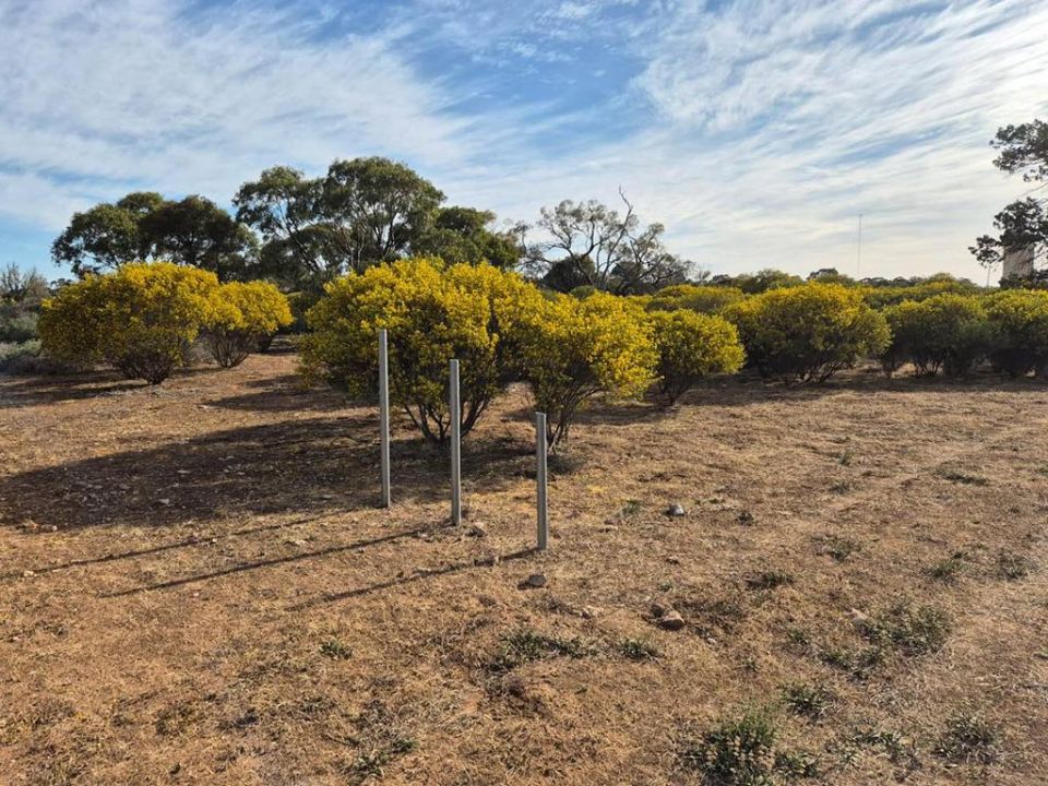 The remaining posts after the Cowangie sign was stolen