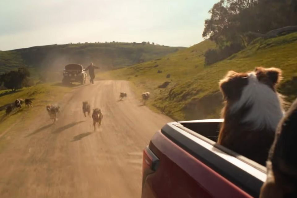 2026_Toyota_HiLux_ad_banned_dogs_chasing