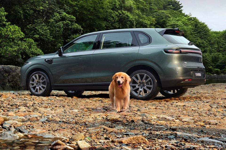 A green Leapmotor B10 SUV seen from the rear side, parked on a rocky riverbank surrounded by trees, with a golden retriever standing in front of it