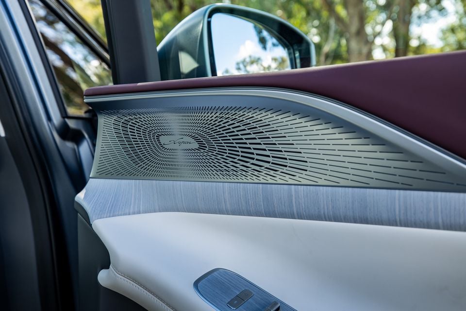 Close-up of the Xpeng X9's door panel showing an ornate Acorea speaker grille with a spiral pattern, burgundy leather trim, wood-effect trim, and side mirror visible through the window