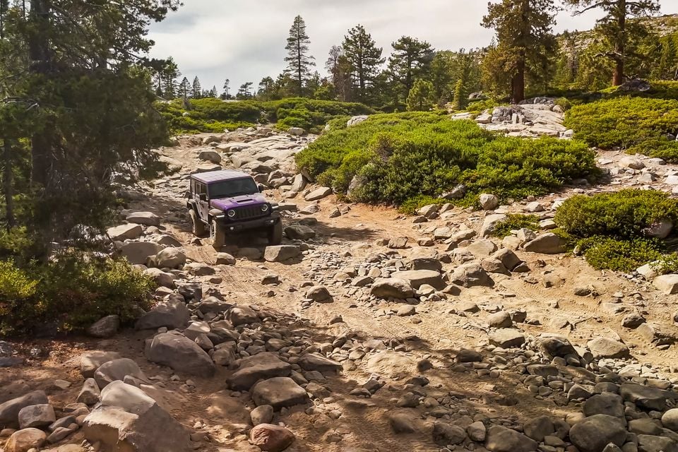 A purple Jeep Wrangler 392 driving down a rocky section of the Rubicon Trail surrounded by pine trees and shrubs