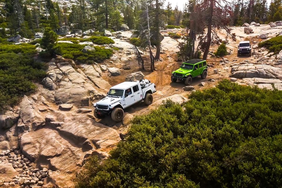 A white Jeep Gladiator Rubicon, a green Jeep Wrangler and a dark Jeep Wrangler climbing a rocky trail through pine forest, seen from above