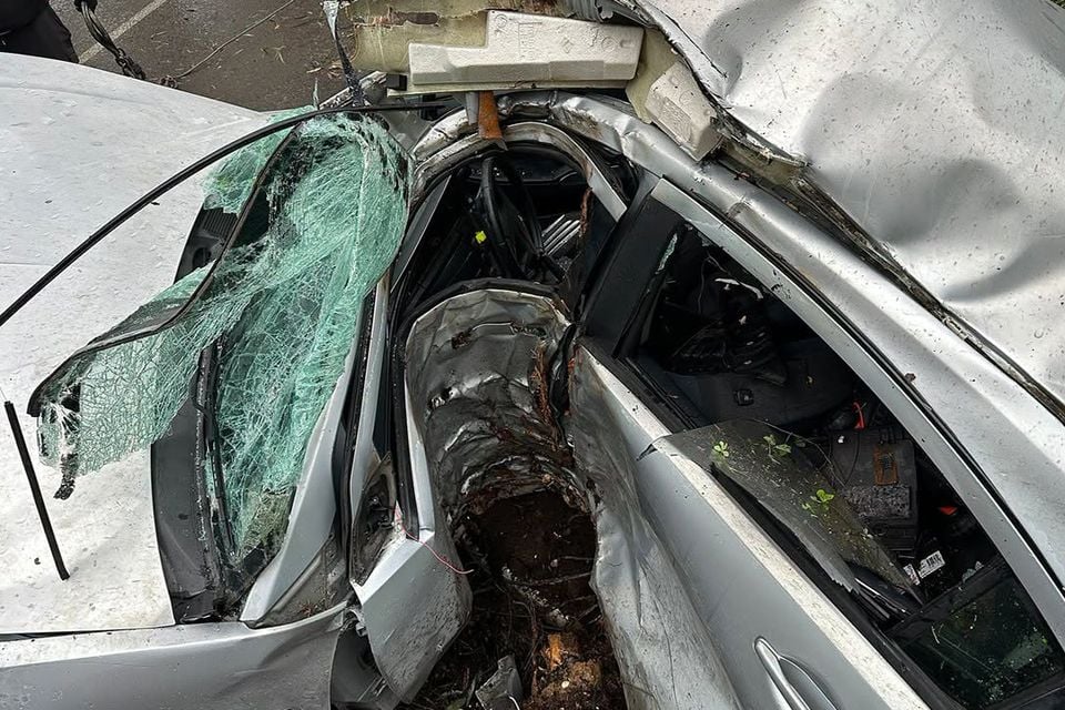 A silver car with severe crash damage, with a large fallen tree trunk having crushed through the roof and cabin of the vehicle