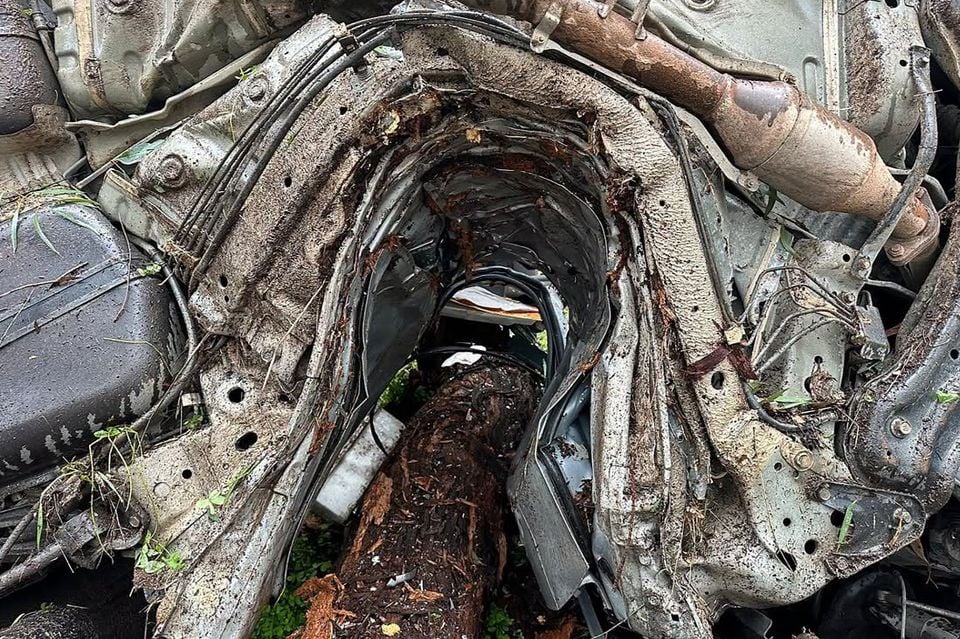 Severely crash-damaged car wreckage with a tree trunk piercing through the crumpled wheel arch and engine bay, showing extensive structural destruction
